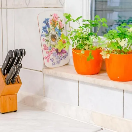 Διαμέρισμα Ljubo *