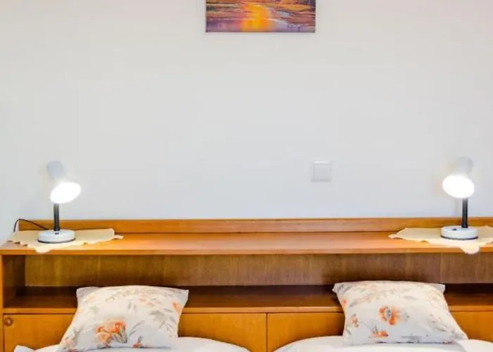 Ljubo Τρογκίρ